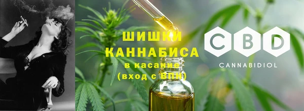 каннабис Богданович